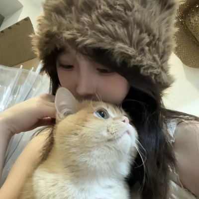 熊猫计划