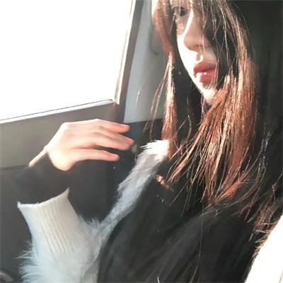 郊区的鸟